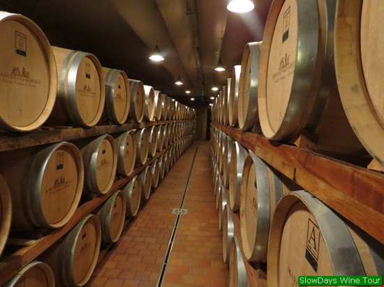Tour dei vini delle Langhe in autonomia Alba